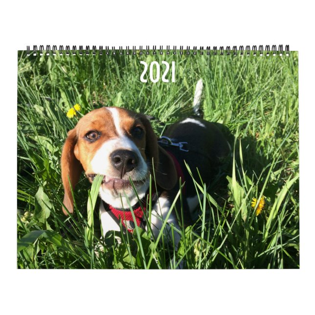 Calendario Beagle 2021 (Tapa)