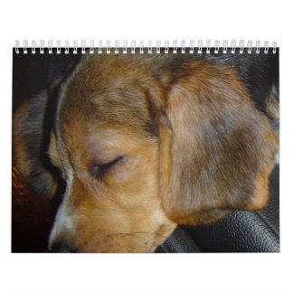 Calendario Beagle Calander