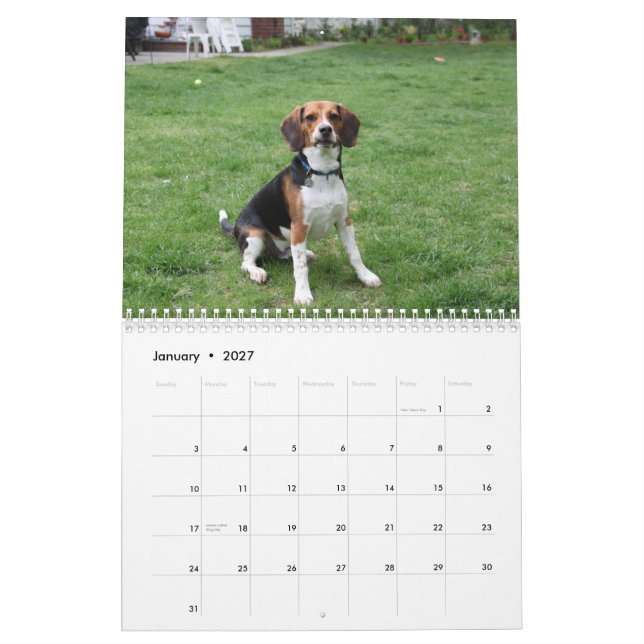 Calendario Beagle Calander (Jan 2027)