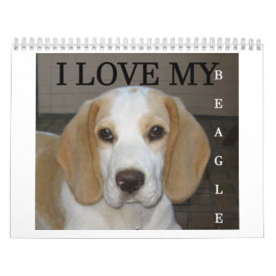 Calendario Beagle Calender