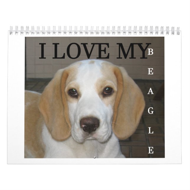 Calendario Beagle Calender (Tapa)