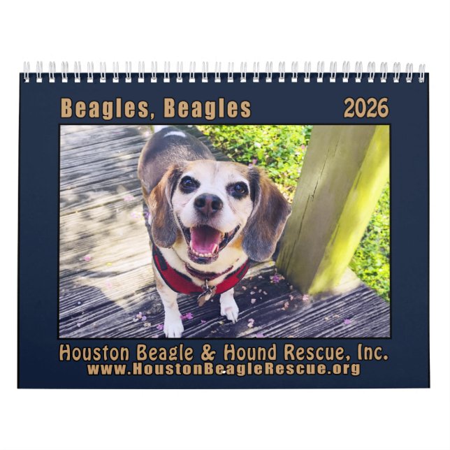 Calendario Beagles Beagles Wall calendar 2026 (Tapa)