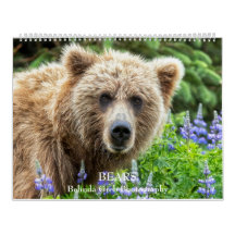 BEARS - Fotografía de Belinda Greb