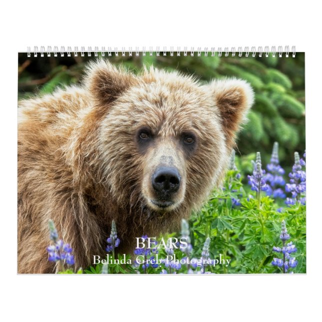 Calendario BEARS - Fotografía de Belinda Greb (Tapa)