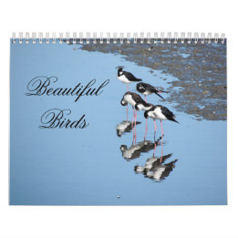 Calendario Beautiful Birds Calendar