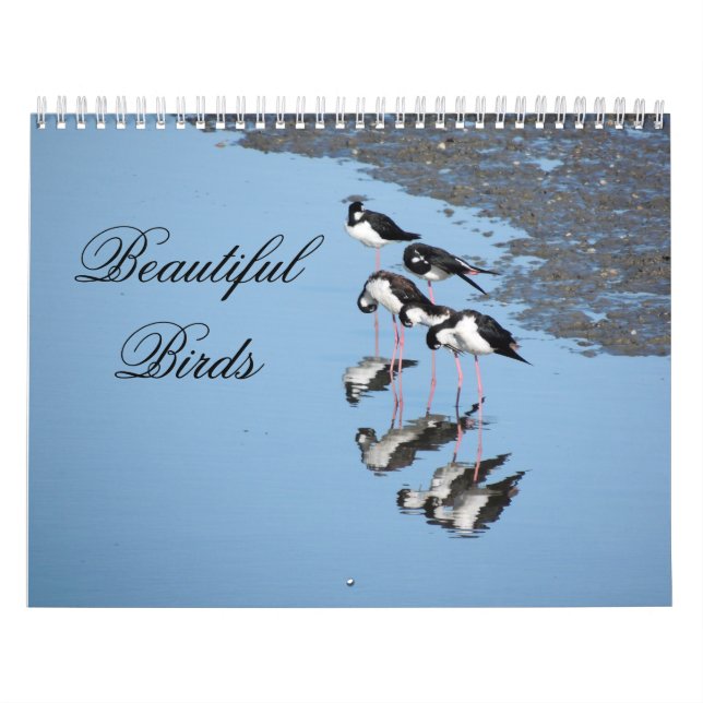 Calendario Beautiful Birds Calendar (Tapa)
