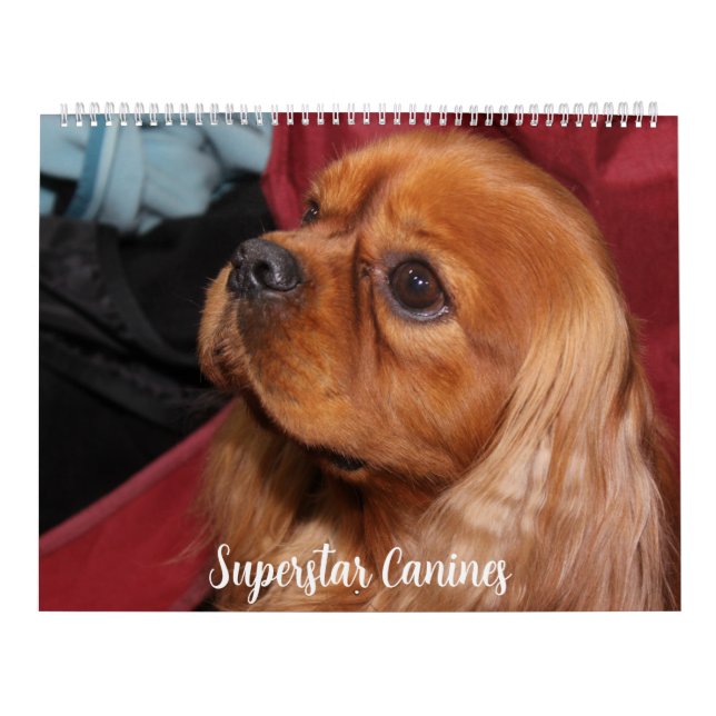 CALENDARIO BEAUTIFUL SUPERSTAR CANINE DOGS (Tapa)