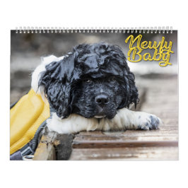 Calendario Bebé Newfy