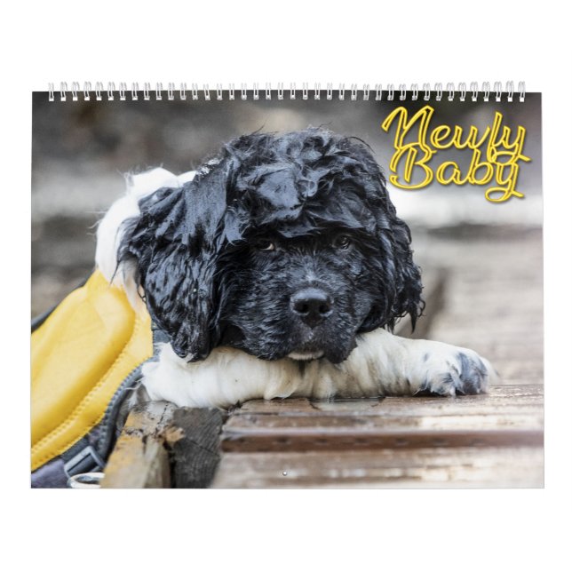 Calendario Bebé Newfy (Tapa)