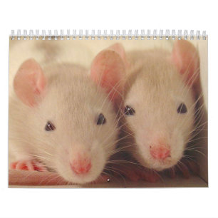 Calendario bebés