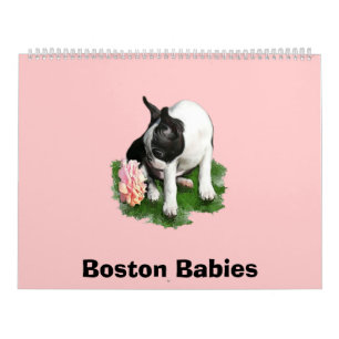 Calendario Bebés 2 de Boston