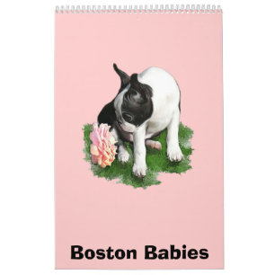 Calendario Bebés de Boston