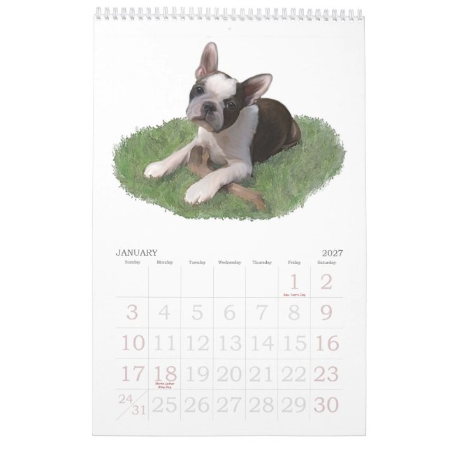 Calendario Bebés de Boston Terrier (Jan 2027)
