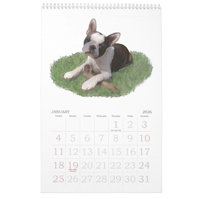 Calendario Bebés de Boston Terrier (Jan 2026)