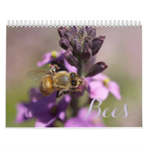 CALENDARIO BEES DIY CALENDARS