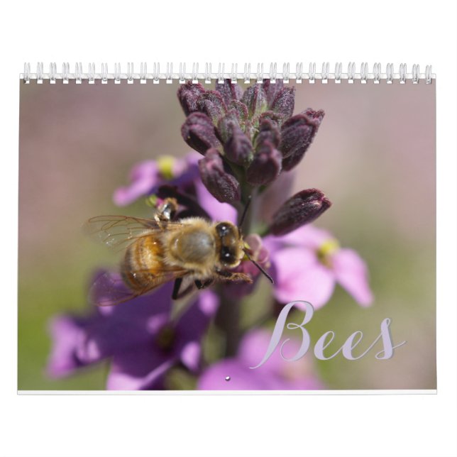 CALENDARIO BEES DIY CALENDARS (Tapa)