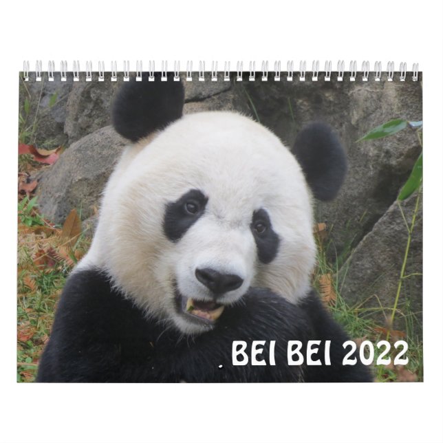 Calendario Bei Bei 2022 (Tapa)