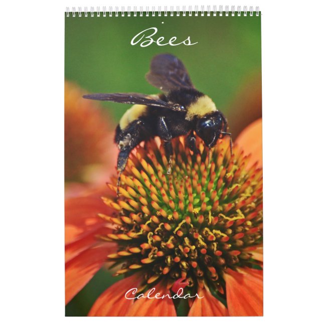 Calendario Beis Calendar Bee Love (Tapa)