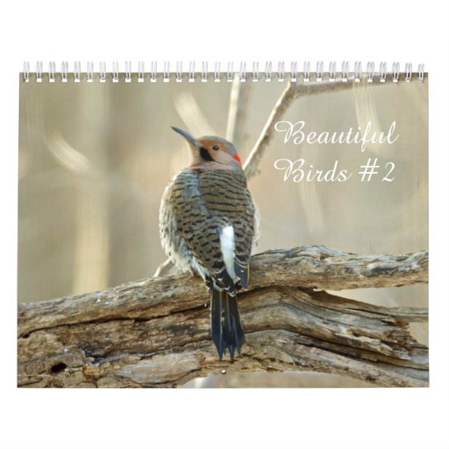 Calendario Bellas Aves #2 (Tapa)
