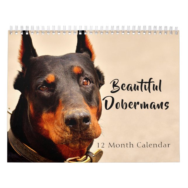 Calendario Bellas Dobermans en 2026 (Tapa)