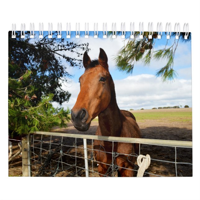 Calendario Belleza de caballo, (Tapa)