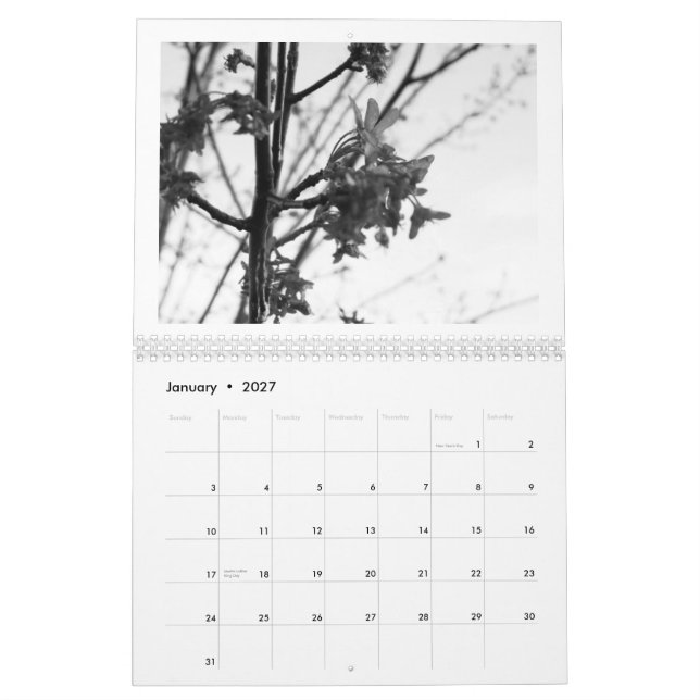 Calendario Belleza de la naturaleza… la edición negra y (Jan 2027)