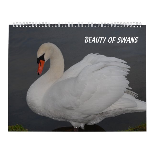 Calendario Belleza de los cisnes (Tapa)
