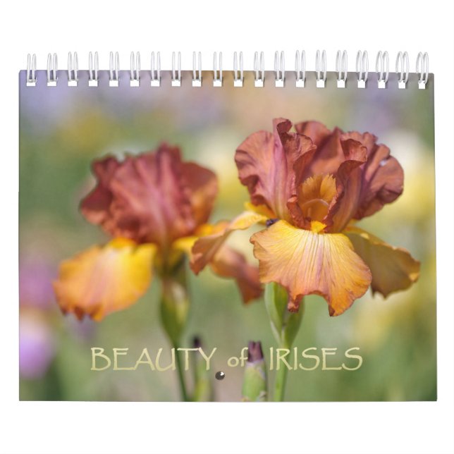 Calendario Belleza de los irlandeses (Tapa)