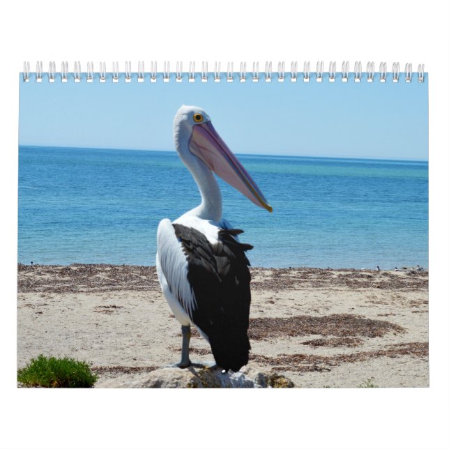 Calendario Belleza De Los Pelícanos 2021, (Tapa)