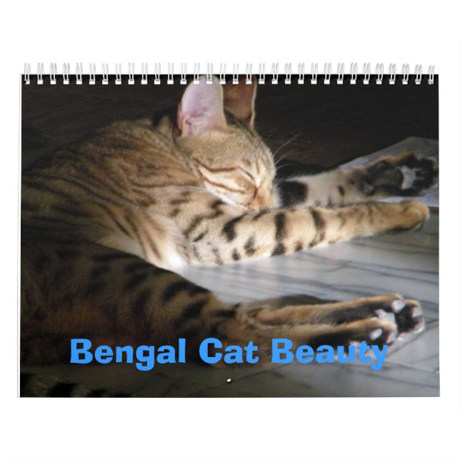 Calendario Belleza del gato de Bengala (Tapa)