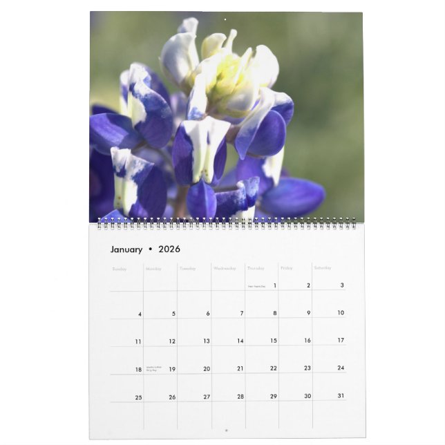 Calendario Bellezas de Texas: Crear su propio Bluebonnet (Jan 2026)