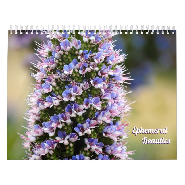 Calendario Bellezas florales de mi colección Garden (Tapa)
