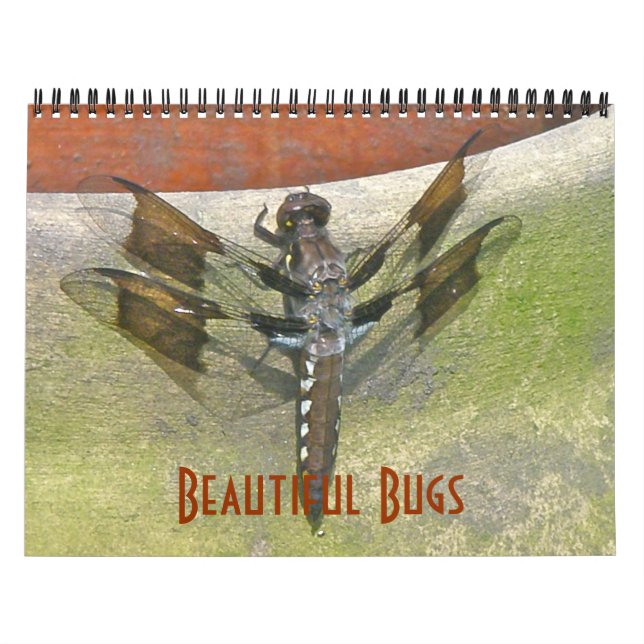 Calendario - Bellos errores (Tapa)