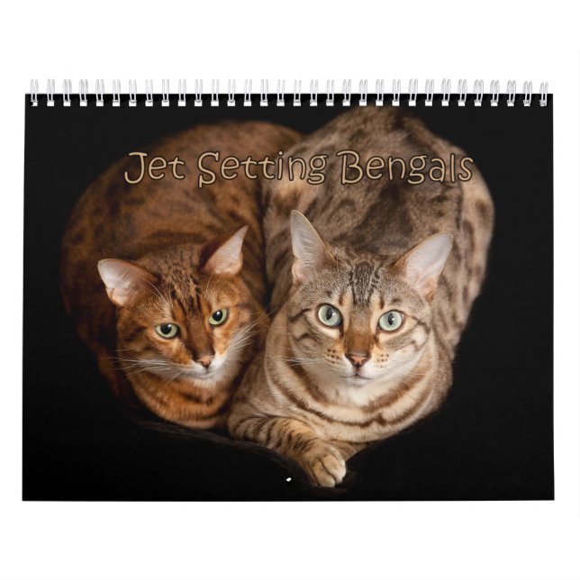 Calendario Bengalas de configuración de Jet (Tapa)