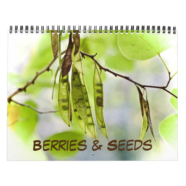 Calendario ~ Berries y Semillas (Tapa)