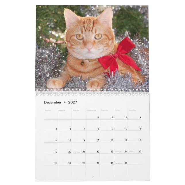 Calendario Best Cats (Dec 2027)