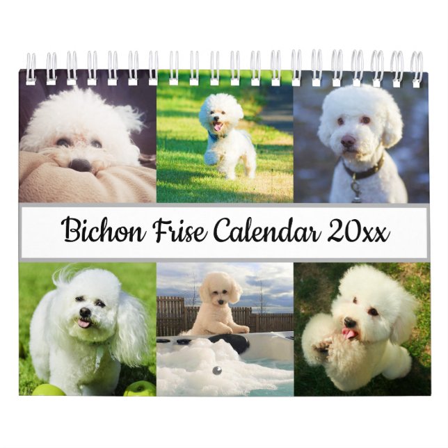 Calendario Bichon Frise (Tapa)