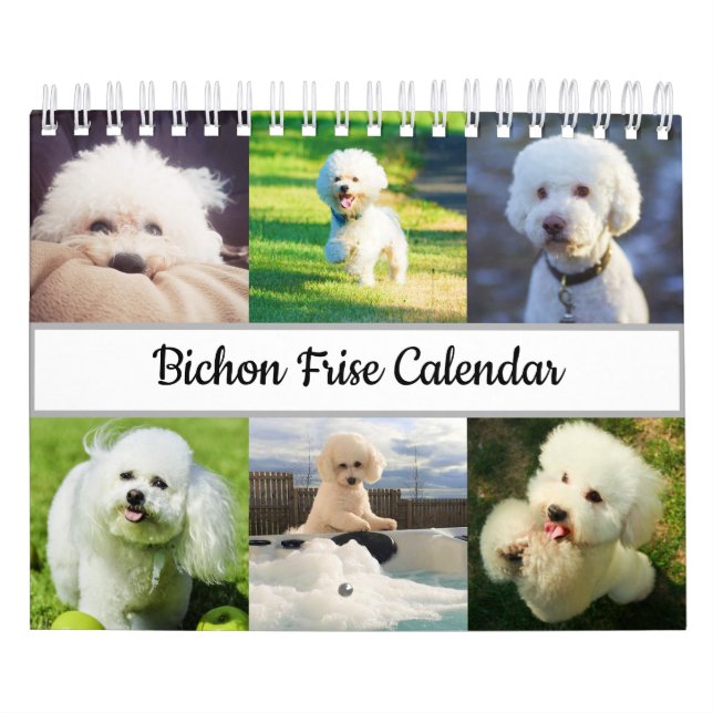 Calendario Bichon Frise (Tapa)