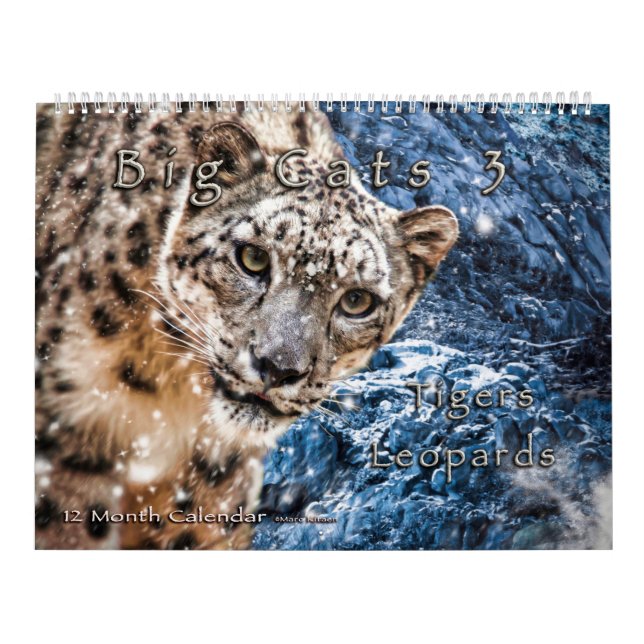 Calendario Big Cats Art Calendar Snow Leopard Jaguar Tigers (Tapa)