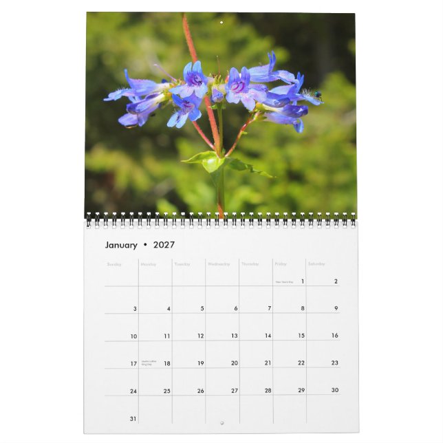 Calendario Big Sky Country Wildflowers 2012 (Jan 2027)