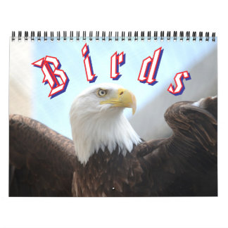 Calendario Bird Calendar