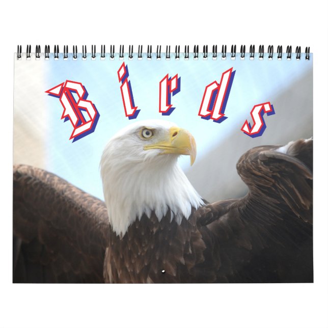 Calendario Bird Calendar (Tapa)