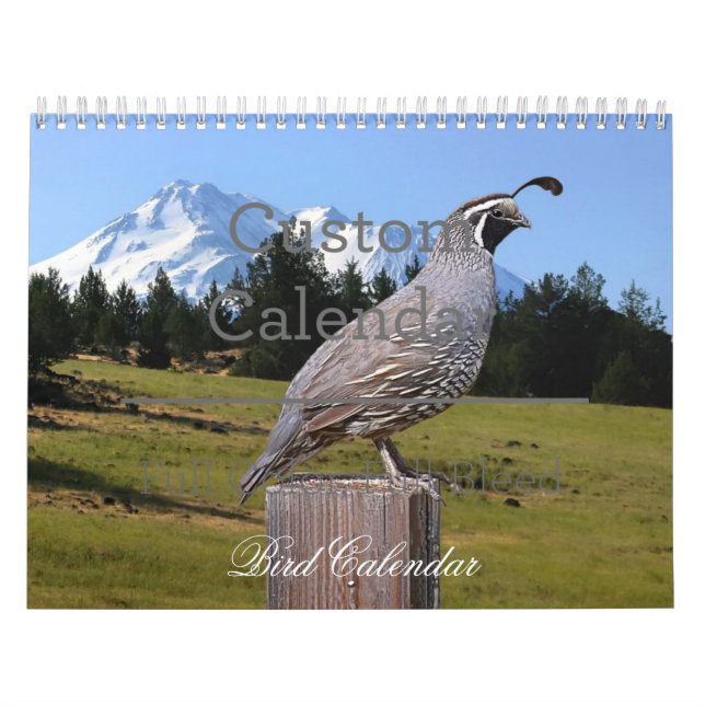 CALENDARIO BIRD CALENDAR (Tapa)