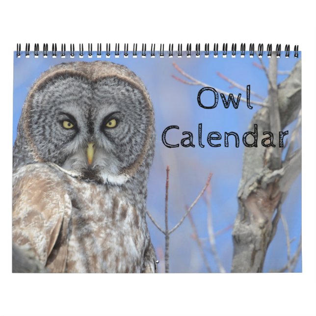 Calendario Bird Life Bird Life Office Destiny (Tapa)