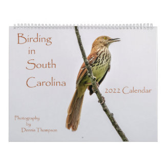 Calendario Birding in South Carolina Calendar 2022