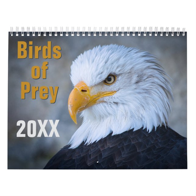 Calendario Birds of Prey Calendar (Tapa)