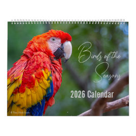 Calendario Birds of the Seasons 12 Month Nature Calendar