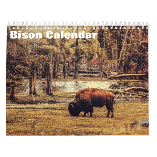 Calendario Bison Búfalo 2027 (Tapa)