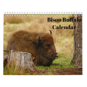 Calendario Bison Buffalo 2026