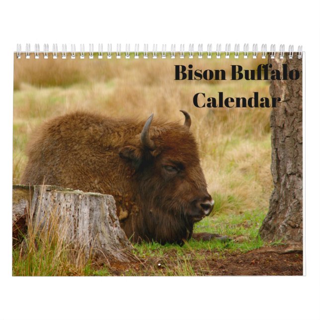 Calendario Bison Buffalo 2026 (Tapa)